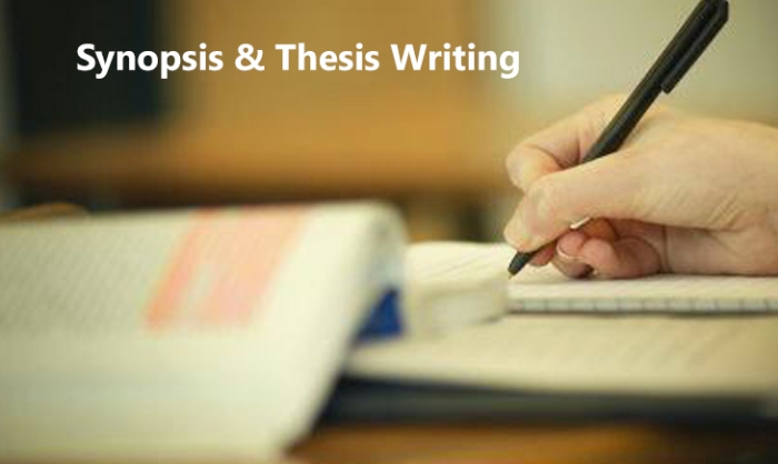 Online thesis writer